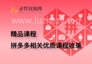 拼多多相关优质课程收录-录哲资源网