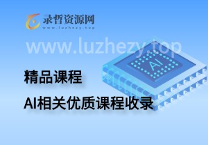 AI相关优质课程收录-录哲资源网