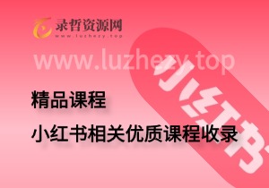 小红书相关优质课程收录-录哲资源网