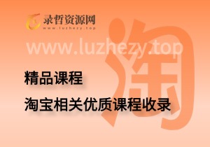 淘宝相关优质课程收录-录哲资源网
