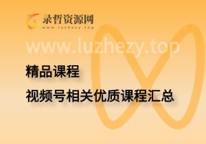 视频号相关优质课程收录-录哲资源网